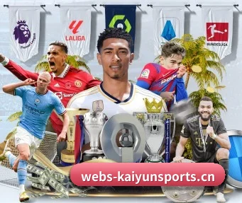 开云体育 APP | kaiyun.com